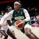 D’Tigress