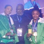 Team Nigeria at the 13th African Games