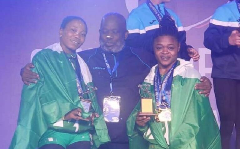 Team Nigeria at the 13th African Games