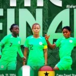 Falconets
