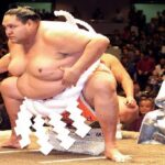 sumo