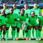Falconets