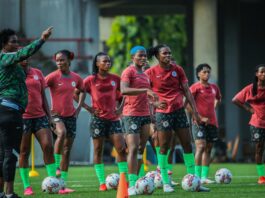 Super Falcons