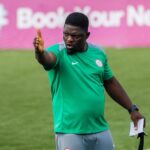 Super Eagles assistant coach, Daniel Ogunmodede