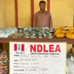 NDLEA