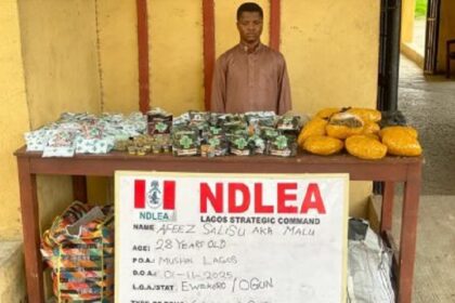 NDLEA