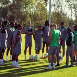 Super Eagles