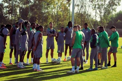 Super Eagles