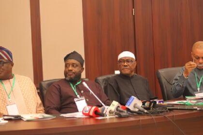 PDP-wike