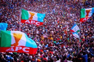 All Progressives Congress (APC)