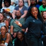 D'Tigress