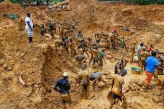 illegal miners
