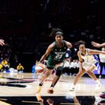 D’Tigress