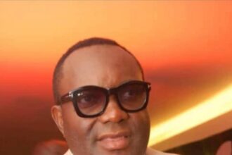 Ebi Egbe
