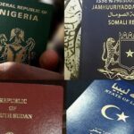 African passports