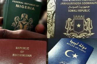 African passports