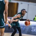 D'Tigers