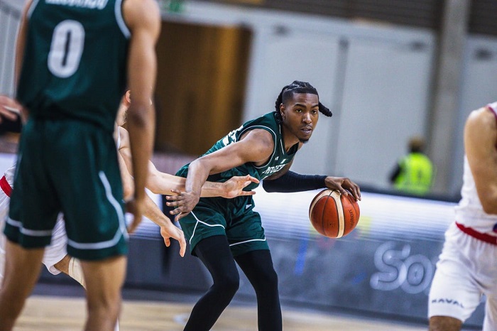 D'Tigers